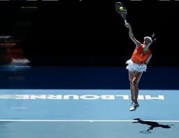 什么是“理性极限”？（如何理解“理性极限”？）