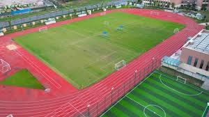 麻将里你是不是太贪（麻将桌上，你贪心过头了吗？）